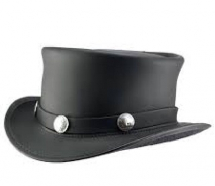Cowboy Hat/Carriage Driving Hat